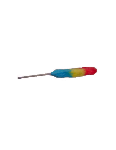 Plumero Multicolor