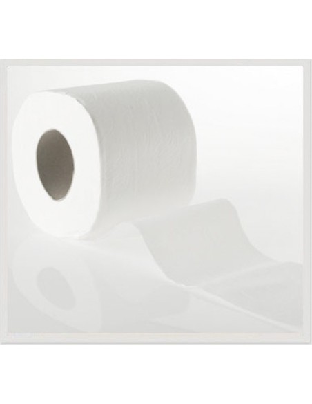 HIGIÉNICO TISOFT 2C 25M MICRODECO