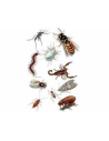 Insecticida rastreros